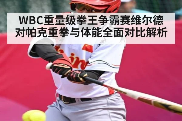 WBC重量级拳王争霸赛维尔德对帕克重拳与体能全面对比解析